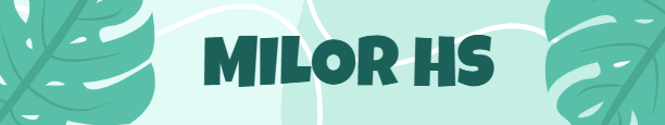 Milor HS